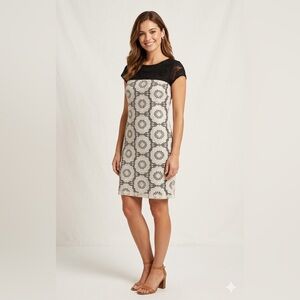 Maggy London Lace Sheath Dress, Size 10